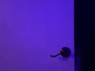Juiceeez  live sex cam