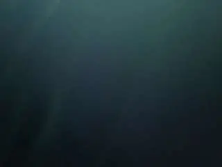 Cindywalton  live sex cam