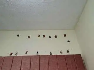 Barbiie-98  live sex cam