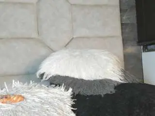 Lia-thompson  live sex cam