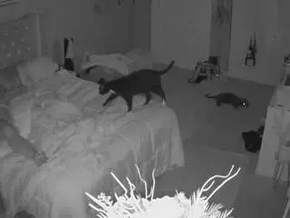 Voyeurcam-house-charleys-room  live sex cam
