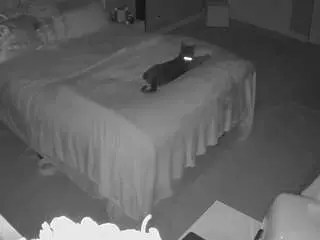 Voyeurcam-house-charleys-room  live sex cam