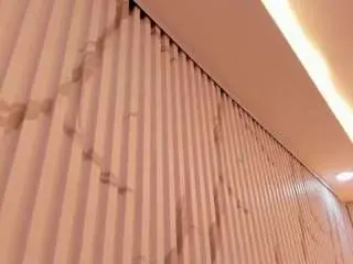 Imdani  live sex cam