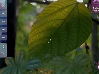 Lovesense2  live sex cam