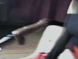 Fancie8  live sex cam