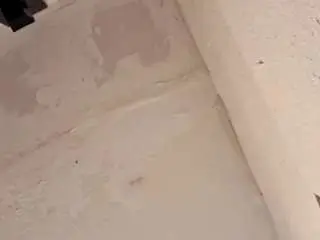 Wanderlus74  live sex cam