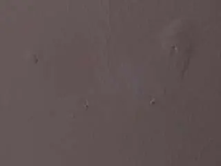 Sheeryyll  live sex cam