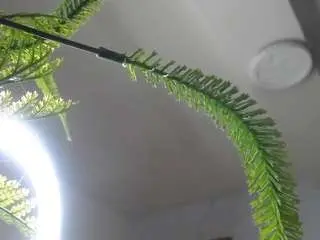 Little-cherry-b  live sex cam