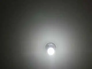 Sara-williams1  live sex cam