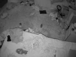 Voyeurcam-julmodels-whitebed-5  live sex cam