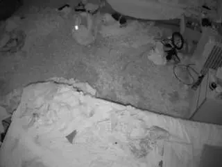 Voyeurcam-julmodels-whitebed-5  live sex cam