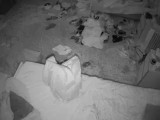 Voyeurcam-julmodels-whitebed-5  live sex cam