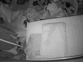 Voyeurcam-julmodels-whitebed-5  live sex cam