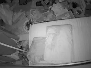 Voyeurcam-julmodels-whitebed-5  live sex cam