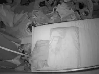 Voyeurcam-julmodels-whitebed-5  live sex cam