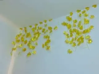 Ambar-carter  live sex cam