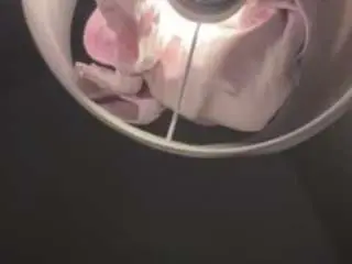 April-roses  live sex cam