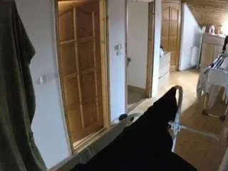 Voyeurcam-julmodels-hall-2nd  live sex cam