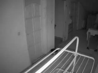 Voyeurcam-julmodels-hall-2nd  live sex cam