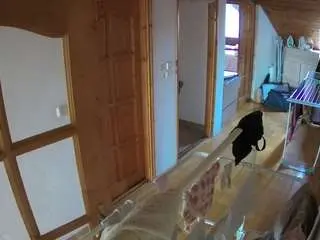 Voyeurcam-julmodels-hall-2nd  live sex cam