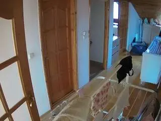 Voyeurcam-julmodels-hall-2nd  live sex cam