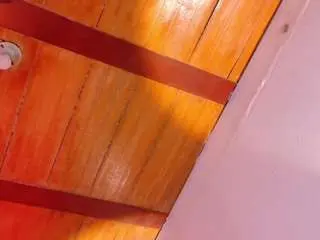 Miss-catt  live sex cam