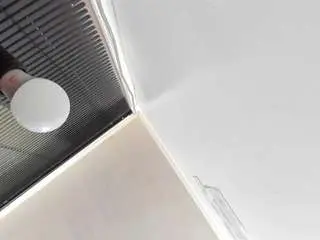 Selenabieber  live sex cam