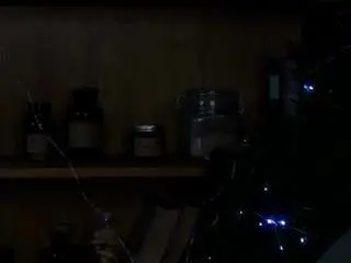 Udelecorson  live sex cam