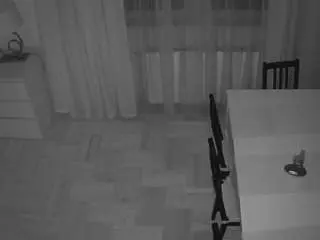 Voyeurcam-julmodels-dining-2  live sex cam