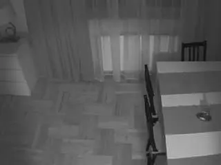 Voyeurcam-julmodels-dining-2  live sex cam