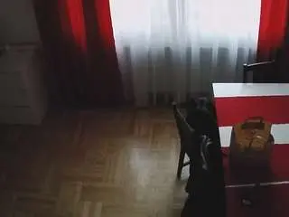 Voyeurcam-julmodels-dining-2  live sex cam