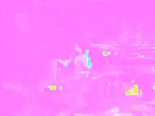 Timilkasquirtx  live sex cam