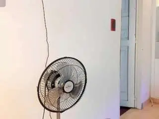 Zoelins  live sex cam