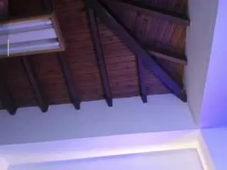 Lizz-myers  live sex cam