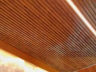 Alison-mooon  live sex cam