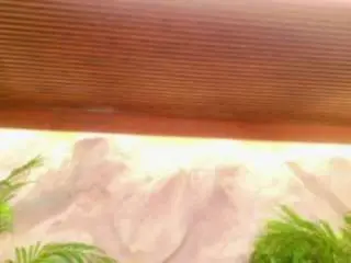 Alison-mooon  live sex cam