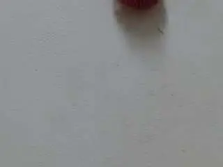 Lexiistone  live sex cam
