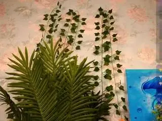 Oletadurrwachter  live sex cam
