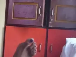 Mallucouple  live sex cam