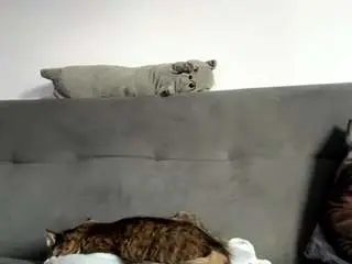 Latiaamonette  live sex cam