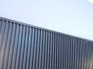 Amy-carter  live sex cam