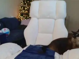 Supertease  live sex cam
