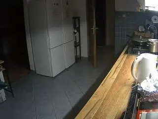 Voyeurcam-julmodels-kitchen  live sex cam