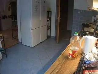 Voyeurcam-julmodels-kitchen  live sex cam