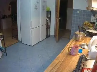 Voyeurcam-julmodels-kitchen  live sex cam