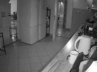 Voyeurcam-julmodels-kitchen  live sex cam