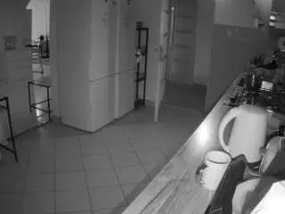 Voyeurcam-julmodels-kitchen  live sex cam