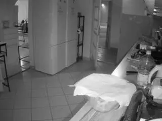 Voyeurcam-julmodels-kitchen  live sex cam