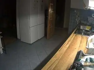 Voyeurcam-julmodels-kitchen  live sex cam