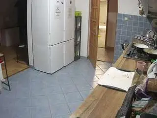 Voyeurcam-julmodels-kitchen  live sex cam